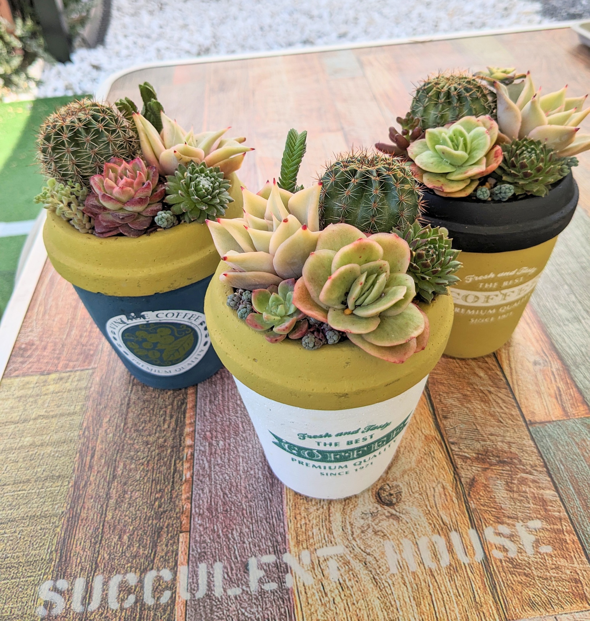 SUCCULENT HOUSE 勝田TAMARIBA横丁 茨城 ひたちなか